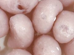 -章记正宗南岗鱼蛋火锅