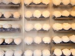 -重庆十八梯传统风貌区