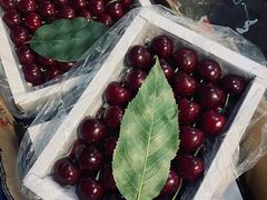 -南京众彩农副产品配送有限公司