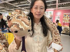-宜家家居(哈尔滨商场店)