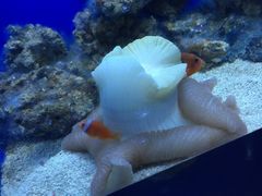 -常州海昌海洋探索馆