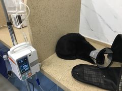 -伟伟宠物医院·CT影像中心·瑞派犬猫综合性门诊(汉口总院)