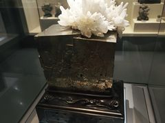 -安徽省地质博物馆