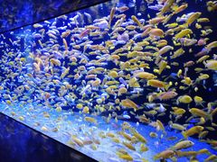 -成都浩海立方海洋公园