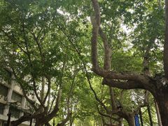 -西安理工大学(金花校区)