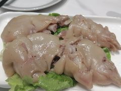 -丁老爷子苏香圆