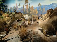 -陕西自然博物馆