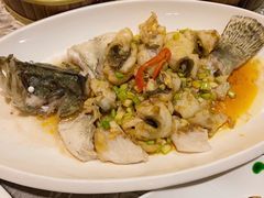 葱油焗桂花鲈-香云轩·顺德菜(香云纱园林酒店店)