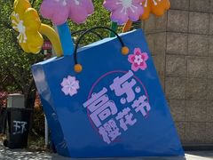-高东镇樱花园