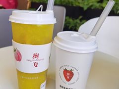-树夏(鹭洲里店)