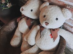 -济州岛泰迪熊博物馆