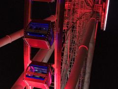 -澳洲牛奶公司(佐敦店)