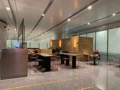 -麦当劳(北京大兴机场二层国内到达(安检外)店)