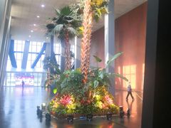 -中央广播电视总台(光华路办公区)