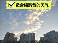 -茉酸奶(春熙路店)