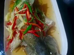 -大班家政月嫂育儿嫂(深圳NO.1店)