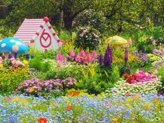 -共青国家森林公园-售票处