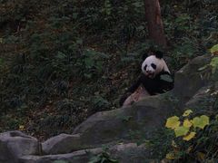 -红山森林动物园