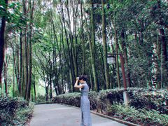-邓小平故里