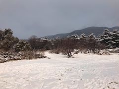 -红楼梦邮局