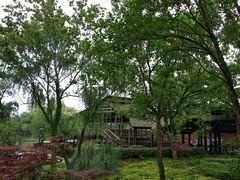 -西溪国家湿地公园