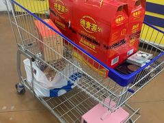-麦德龙(十里河店)
