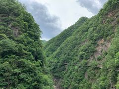 -牛背梁国家森林公园
