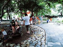 -成都市活水公园