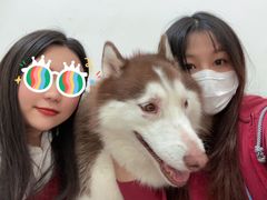 -星多哈·狗咖·拼豆·咖啡