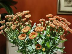 -第101座花园餐厅(湖滨88店)