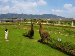 -光明小镇欢乐田园