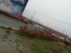 -安飞驰驾校·学车连锁(金高店)