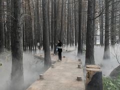 -东湖落雁景区