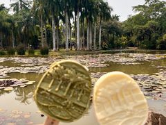 -中国科学院西双版纳热带植物园
