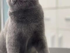 -欧奕国际动物医院