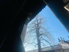 -蒋氏故居