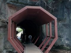 -武夷山风景名胜区-玉女峰