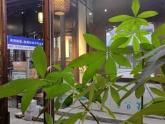 -月栖华明-云间草堂清茶馆(泗泾古镇店)