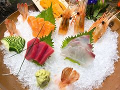 特选生鱼五品拼盘-森味薪火烧•烧鸟居酒屋•日本料理(望京店)