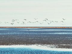 -启东黄金海滩景区