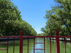 -皇家御河游(紫御湾码头)