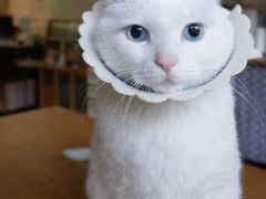 -新辣道鱼火锅(西直门店)