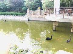 -芭东小镇温泉