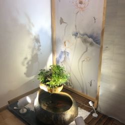 -溢美古法抗衰
