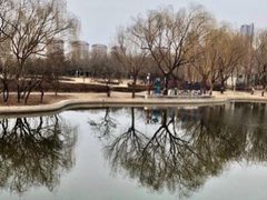 -泰丰公园