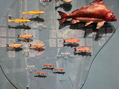 -中国湿地博物馆