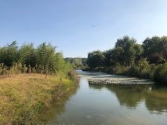 景点-淇河国家湿地公园