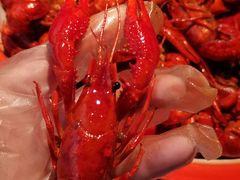 -沪小胖·小龙虾·蓝龙王(八佰伴店)