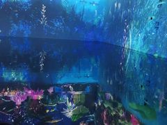 -中国湿地博物馆