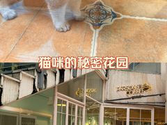 -柏斯音乐艺术中心·钢琴·吉他(上音店)